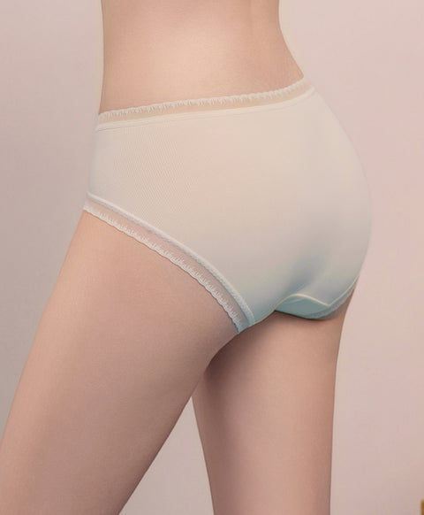 Lace & Mesh Low Waist Midi Panties