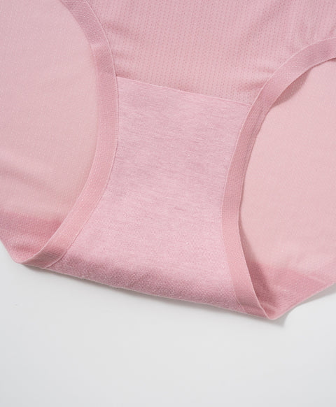 Basic Mesh Low Waist Hipster Panties
