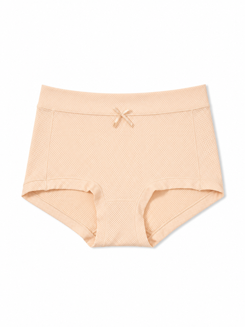 Comfy Mesh Lover Low Waist Boxshorts Panties