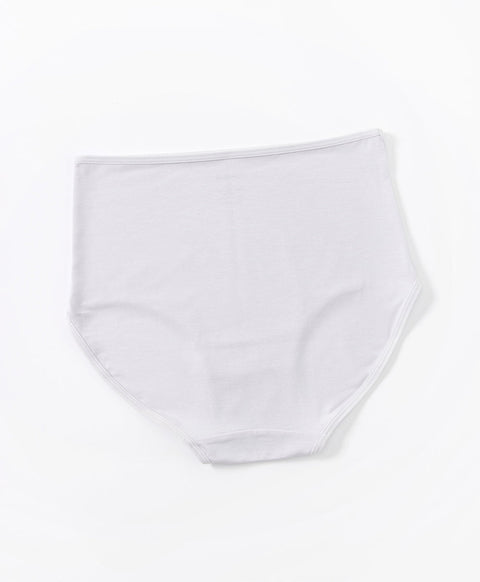 Charming Dark 3pcs Modal Maxi Pack Panties (Medium (M) size only)