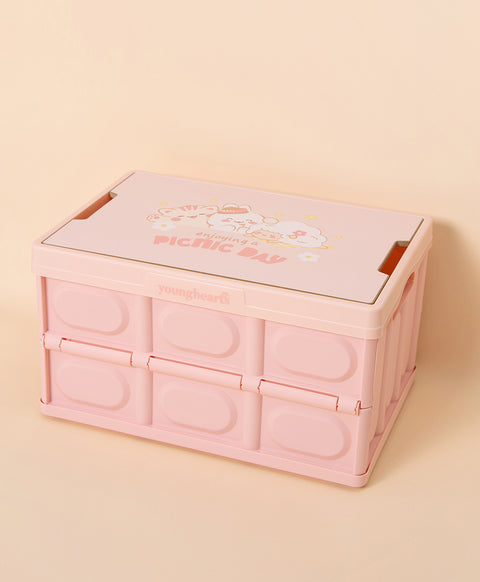 Have A Picnic Day Foldable Storage Box