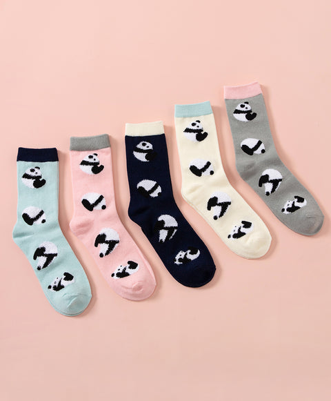 Life is Like A Comic Panda Crew Socks