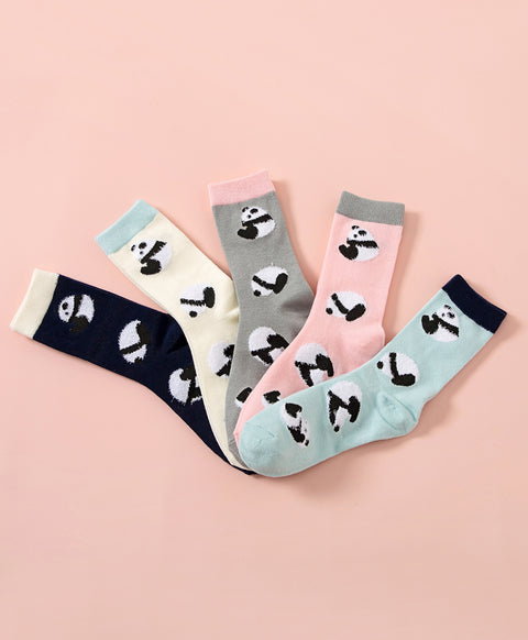 Life is Like A Comic Panda Crew Socks