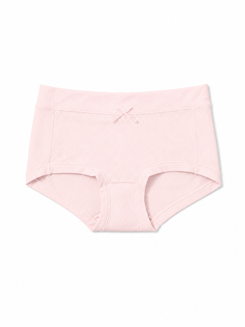 Comfy Mesh Lover Low Waist Boxshorts Panties
