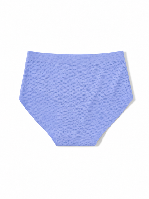 Comfy Mesh Lover Laminated Low Waist Hipster Panties