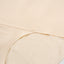 Belly Away Light Tummy Control Laminated Mid Waist Hipster Panties