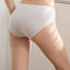Winter Cotton Mid Waist Midi 5pcs Pack Panties