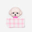 BedMood Cremo & Mello Plaid Pet Bandana Bib