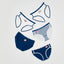 Yuki & Hattie On Diet Workout 5pcs Mid Waist Midi Graphic Panties Wonder Box