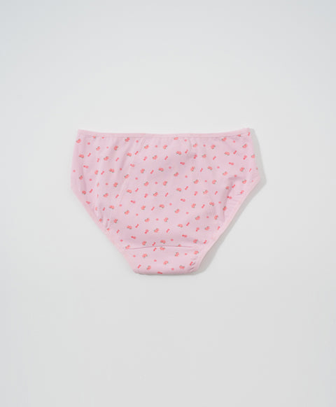 Berry Stressed Cotton Mid Waist Midi 2pcs Sanitary Panties Pack