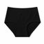 Comfy Mesh Lover Laminated Low Waist Hipster Panties