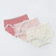 Lace & Mesh Low Waist Midi Panties