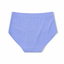 Comfy Mesh Lover Laminated Low Waist Hipster Panties