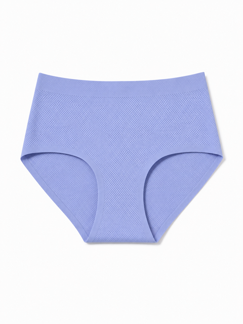 Comfy Mesh Lover Laminated Low Waist Hipster Panties